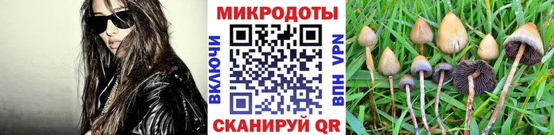 Галлюциногенные грибы мицелий Купить где Балашов